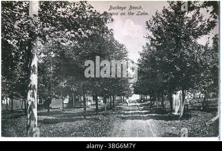 Dieses Foto aus dem Jahr 1908 zeigt eine von Bäumen gesäumte Schotterstraße, die zum Lake Erie führt, vorbei an Sommerhäusern am Buckeye Beach, Geneva-on-the-Lake, Ohio. Das Bild fängt die landschaftliche Schönheit dieses beliebten Reiseziels am See ein. Stockfoto