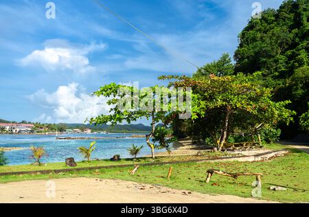 Die türkisfarbene Lagune umrundet den Long Island Park Beach in Koror, Palau, wo Rasen, schattige Bäume und eine Picknickbank unter hellem Himmel über das ruhige pazifische Wasser und die Dächer des Dorfes blicken. Stockfoto