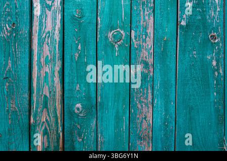 Altgrün lackierte Holzbretter mit abblätternder Farbe, sichtbarer Holzmaserung und natürlichen Texturen. Sonnenlicht wirft weiche Schatten über die Oberfläche, ideal für Stockfoto