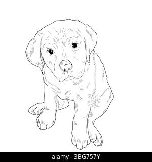 Lustiges kleines Hündchen sitzt, schwarz-weiße Tinte. Vektorabbildung. Der Hund, ein kleiner Labrador, ist auf weißem Hintergrund isoliert. Die Zeichnung Stock Vektor