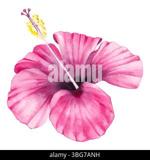 Sommer-Aquarellillustration aus der Flamingo-Serie Stockfoto