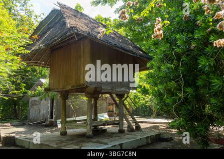Kleine Holzhütte mit Strohdach in einem üppig grünen Wald. Die Hütte ist von Bäumen und Büschen umgeben, was ihr eine friedliche und ruhige Atmosphäre verleiht Stockfoto