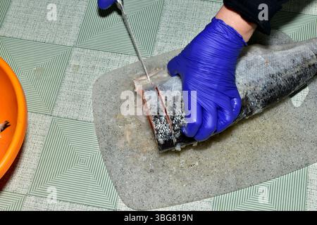 Das Bild zeigt einen Tisch mit Lachsfischen darauf. Der Koch schneidet den Lachsfisch mit einem Messer in Stücke. Stockfoto