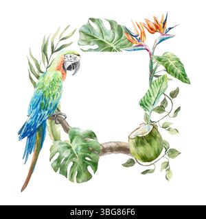 Tropischer Rahmen mit Monstera, Palme, Bananenblättern, Streptizienblüten und blauem Papagei. Handgezeichnete Aquarellillustration isoliert. Für Postkarten, Inv Stockfoto