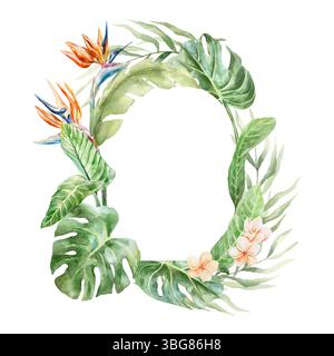 Tropischer Rahmen mit Monstera, Palme, Bananenblättern, Strelitzia und Plumeria-Blüten. Handgezeichnete Aquarellillustration isoliert. Für Postkarten, Invita Stockfoto