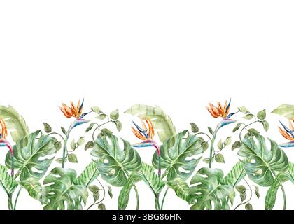 Tropische nahtlose Grenze mit Palmblättern, Monstera, Banane, Strelitzienblüten. Handgezeichnete Aquarellillustration isoliert auf weiß. Karten, Einladungen Stockfoto