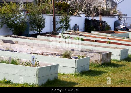 Hochbeete in einem Gemeindegarten belmullet County Mayo republik irland Stockfoto