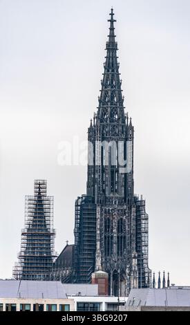 Turm des Münsters in Ulm, einer Stadt in Baden-Württemberg im Südwesten Deutschlands Stockfoto