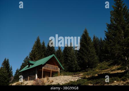 Eine hölzerne Berghütte mit grünem Dach befindet sich auf einem Hügel, umgeben von hohen Kiefern unter einem tiefblauen Himmel in den Komovi-Bergen, Montenegro. Stockfoto