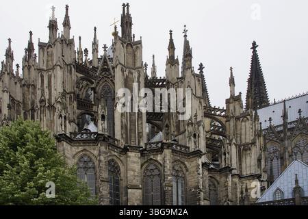 Kölner Dom (hohe Domkirche St. Peter), Deutschland, Europa Stockfoto