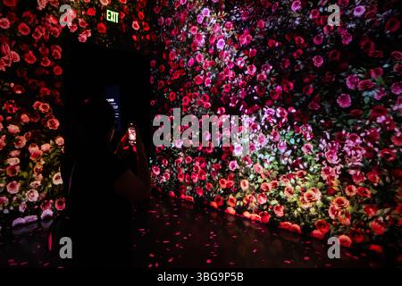 Las Vegas, 5. Mai 2025. Das visuelle Eintauchen des neuen Arte Museums auf dem Las Vegas Strip. Stockfoto