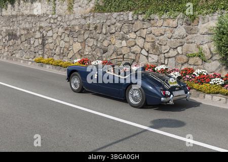 Seitliche Rückansicht des blauen MG A 1600 mit der Startnummer 66, Baujahr 1960, 15887 ccm Hubraum, 80 ps von 4 Zylindern, auf der Schenna-Straße direkt Stockfoto