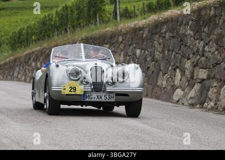 Oldtimer-Rallye Suedtirol-Classic in Schenna/Südtirol 2014, Jaguar XK 120 Roadster auf der Labersstraße an der Abzweigung Landhaus Wege Stockfoto
