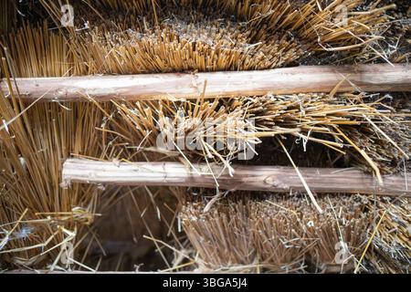 Ein Haufen Strohhalm mit ein paar Stäben, die herausragen. Das Stroh ist braun und die Stäbchen sind aus Holz Stockfoto