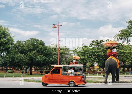Ayutthaya Historical Park Elefanten Tour in Thailand Stockfoto