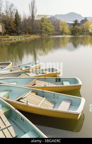 Nakajima Park Teich und Boot in Sapporo, Hokkaido, Japan, Asien Stockfoto