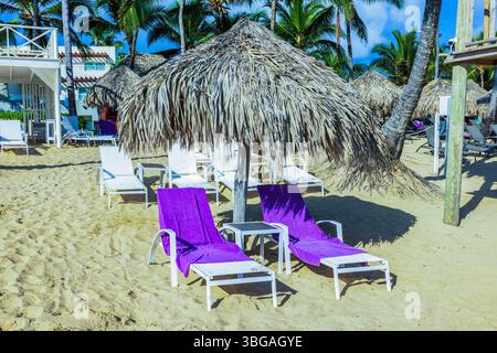 Zwei weiße Liegestühle mit lila Handtüchern unter Strohschirm auf sauberem Sand in der Nähe des Atlantischen Ozeans. Dominikanische Republik. Punta Cana. Stockfoto