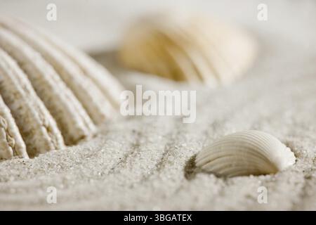 Flache Detailansicht einer gemusterten Sandoberfläche mit darauf liegenden Kerzen, geringe Schafttiefe Stockfoto