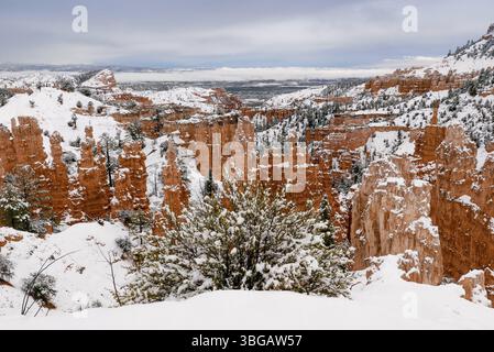 Riesige natürliche Amphitheater entlang der Ostseite des Paunsaugunt-Plateaus. Mormonen waren in den 1850er Jahren Pioniere und wurden nach Ebenezer Bryce benannt Stockfoto