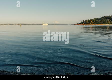 Blick auf die Fähre, Mt. Rainier vom Strand auf Bainbridge Island im Bundesstaat Washington Stockfoto