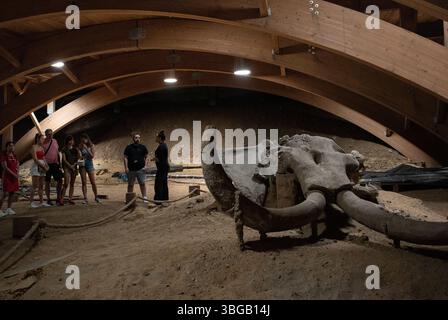 Mammutreste an der archäologischen Stätte Viminacium. Mammutskelett Stockfoto