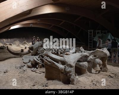 Mammutreste an der archäologischen Stätte Viminacium. Mammutskelett Stockfoto