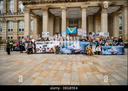 NARD - National Animal Rights Day - Birmingham Victoria Square, 1. Juni 2025. Aktivisten versammeln sich vor dem rathaus von Birmingham nach einem marsch durch das Stadtzentrum. Stockfoto