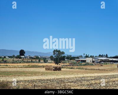 Ländliches landwirtschaftliches Feld mit Heuhaufen, fernen Häusern und Hügeln im Hintergrund, unter einem hellblauen Sommerhimmel. Stockfoto
