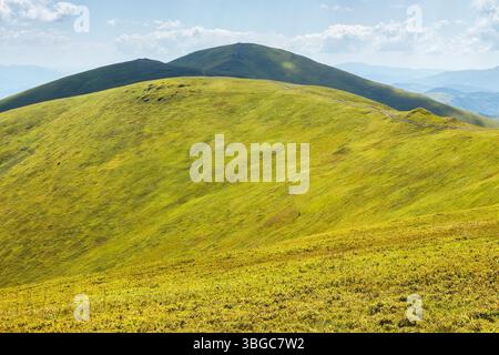 Grüne Hänge des Borzhava-Berges im Sommer. Malerische Landschaft der karpaten an einem sonnigen Tag Stockfoto