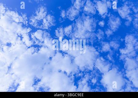 Großer offener Himmel mit verstreuten, aufgeschwollenen Wolken an einem sonnigen Tag, der Freiheit, Klarheit, frische Luft und Ruhe im Freien repräsentiert. ideal für Natur, Ruhe Stockfoto