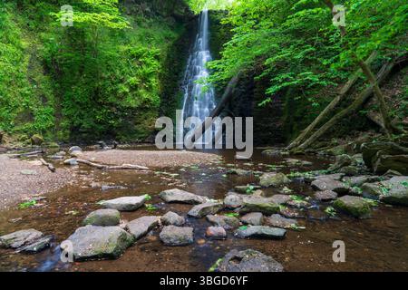 England, North Yorkshire, North York Moors National Park. Falling Foss, ein beliebter Wasserfall im Sneaton Forest in der North York Moors Nation Stockfoto