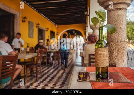 Valladolid, Mexiko 1. Januar 2025: Gäste genießen ein Mittagessen in einem traditionellen mexikanischen Restaurant mit einer Weinflasche und einer Pflanze als Dekoration Stockfoto