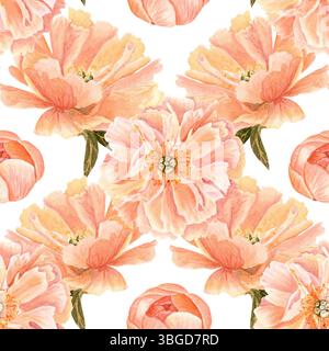 Zarte Pfingstrose Blütenknospe in weichem, pfirsichfarbenem Aquarellmuster. Handbemalt mit hohen Details, perfekt für Hochzeitseinladungen, Branding Stockfoto