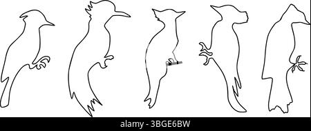 Specht Silhouette Umriss , handgezeichnete schwarze Linie Zeichnung eines kleinen Spechtvogels, der auf einem Ast (Campophilus melanoleucus) auf einem Stamm steht Stock Vektor