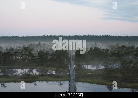 Holzsteg durch Misty Mog mit Seen bei Dawn Stockfoto
