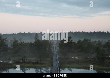 Holzsteg durch Misty Mog mit Seen bei Dawn Stockfoto