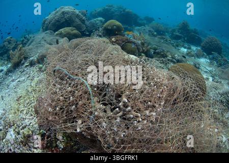 Über einem Korallenriff in der Nähe der indonesischen Insel Alor liegt ein Fischernetz. Die Überfischung hat die Fischbestände in dieser Region verringert. Stockfoto