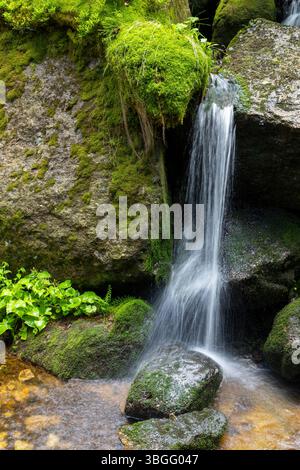 Kleiner Wasserfall, der über moosige Felsen im Wald des Isergebirges in Tschechien fließt, schafft eine friedliche Atmosphäre Stockfoto