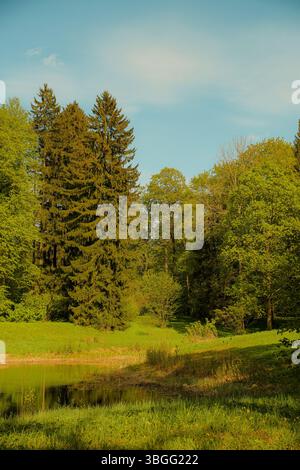 Malerische natürliche Landschaft mit einem ruhigen Teich umgeben von üppigem grünem Gras und hohen Nadelbäumen und Laubbäumen unter einem klaren blauen Himmel. Stockfoto