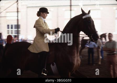 Eine Frau in englischer Reitkleidung, die einen Bowler-Hut trägt, reitet während eines Reitwettbewerbs im Ohio Expo Center und der State Fair auf einem Pferd. Sie hat eine Zeitung auf dem Rücken. Stockfoto
