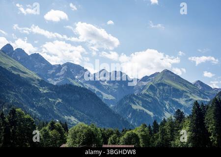 Am Fellhorn, Allgäu, Bayern. Deutschland Stockfoto