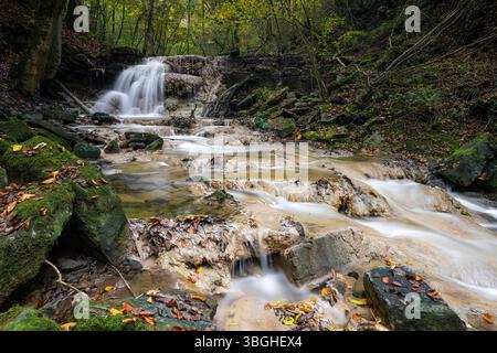 Landschaftsbild, Eifel in der Nähe von Bitburg, Rheinland-Pfalz, Deutschland Stockfoto