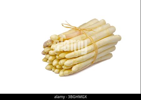 Ein Haufen frischer weißer Spargel auf weißem Hintergrund Stockfoto