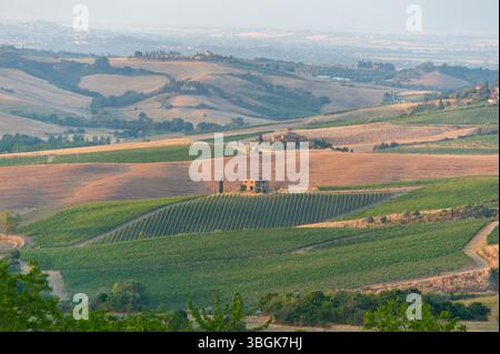 Hügelige Landschaft in der Toskana, Blick von der oberen Stadtmauer von Montepulciano, Toskana, Italien, Europa Stockfoto