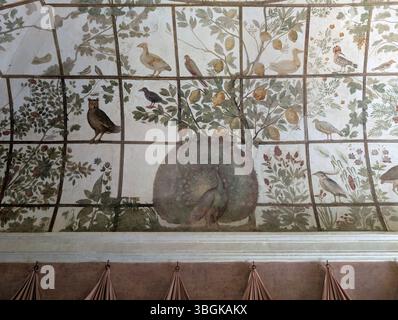 Villa Medici, Rom, in der Nähe der Piazza di Spagna. Vogelzimmer, Fresko von Jacopo Zucchi. Stockfoto