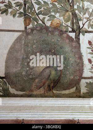 Villa Medici, Rom, in der Nähe der Piazza di Spagna. Vogelzimmer, Fresko von Jacopo Zucchi. Stockfoto