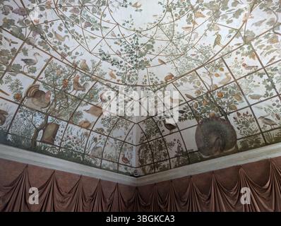 Villa Medici, Rom, in der Nähe der Piazza di Spagna. Vogelzimmer, Fresko von Jacopo Zucchi. Stockfoto