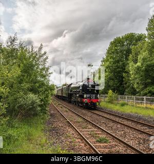 Tornado-Dampflokomotive als „The Dalesman“, 5. Juni 2025, Stockfoto