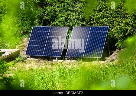 Photovoltaikanlage in einem Garten in Hamburg Stockfoto