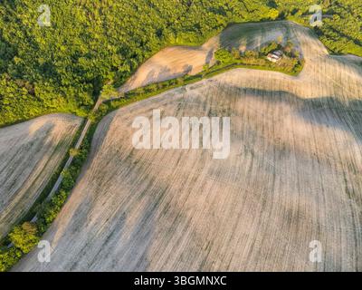 Aus der Vogelperspektive auf ein bewirtschaftetes Feld und ein verlassenes Bauernhaus in der ländlichen Landschaft des Cesane-Parks in der Nähe von Urbino, Marken, Mittelitalien Stockfoto